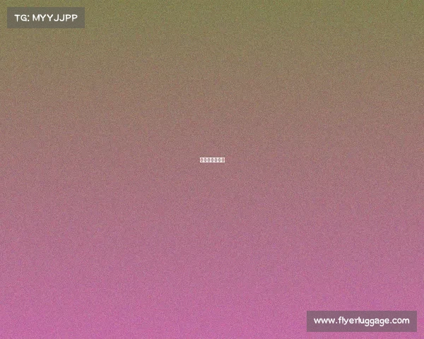 英语电子报模板